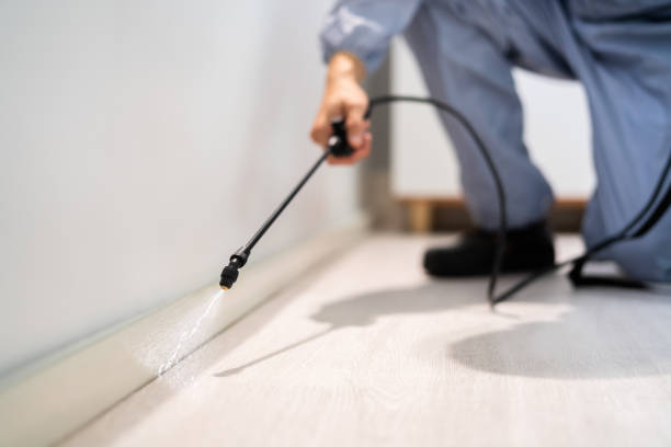 Licensed Cockroach Control service in Cutler, CA - Nex Pest Control