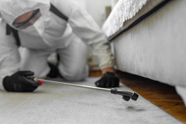 Professional Cockroach Control technician working in Cutler, CA