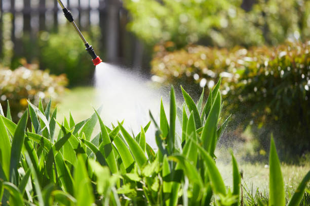 24/7 Emergency Cockroach Control experts in Cutler, CA