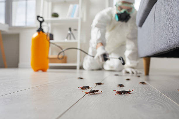 Affordable Cockroach Control solutions in Cutler, CA
